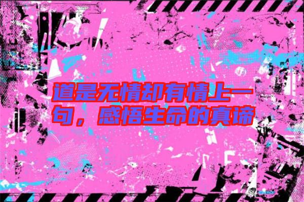 道是無情卻有情上一句，感悟生命的真諦