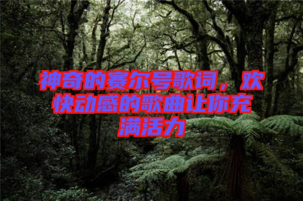 神奇的賽爾號歌詞，歡快動感的歌曲讓你充滿活力