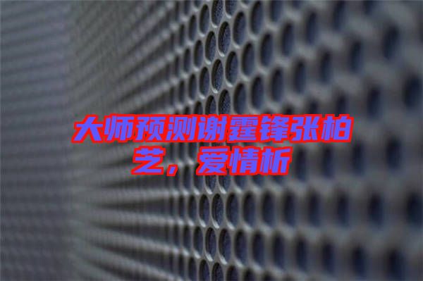 大師預(yù)測(cè)謝霆鋒張柏芝，愛情析
