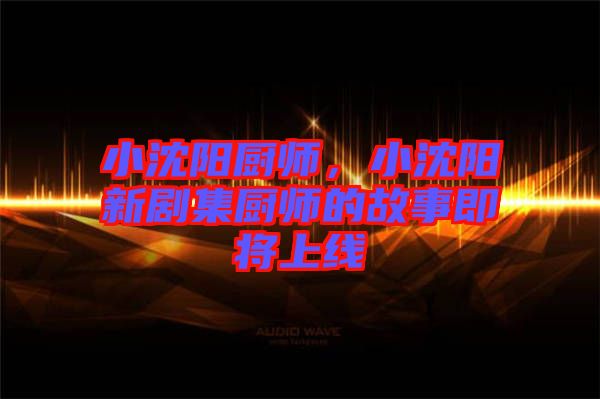 小沈陽廚師，小沈陽新劇集廚師的故事即將上線