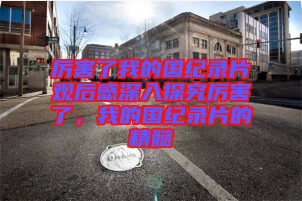 厲害了我的國(guó)紀(jì)錄片觀后感深入探究厲害了，我的國(guó)紀(jì)錄片的精髓