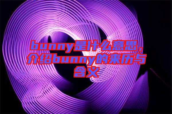 bunny是什么意思，介紹bunny的來歷與含義