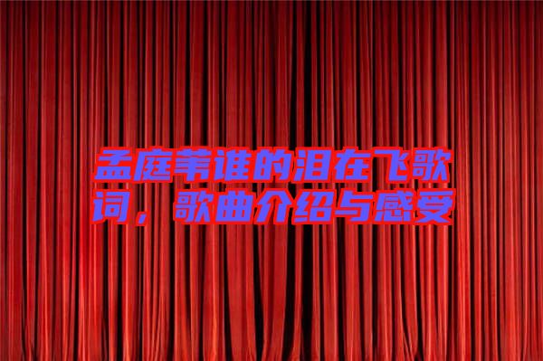 孟庭葦誰的淚在飛歌詞，歌曲介紹與感受