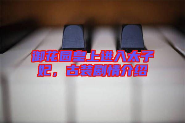 御花園皇上進入太子妃，古裝劇情介紹