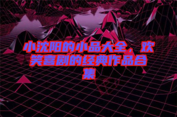 小沈陽的小品大全，歡笑喜劇的經(jīng)典作品合集