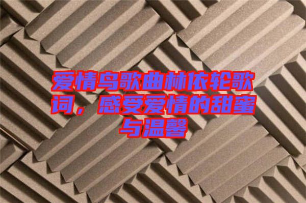愛情鳥歌曲林依輪歌詞，感受愛情的甜蜜與溫馨