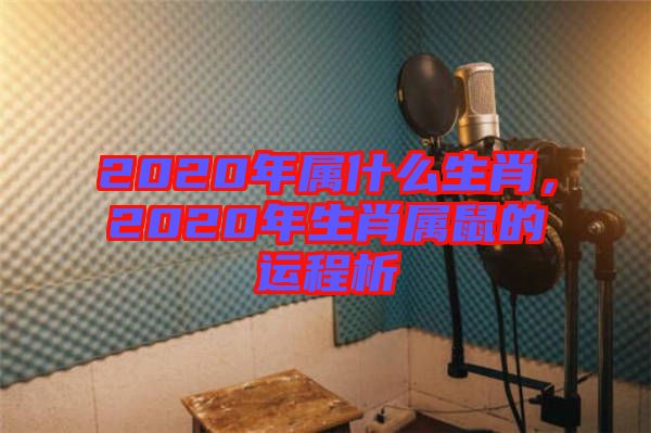 2020年屬什么生肖，2020年生肖屬鼠的運(yùn)程析