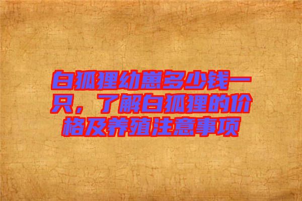 白狐貍幼崽多少錢一只，了解白狐貍的價格及養(yǎng)殖注意事項