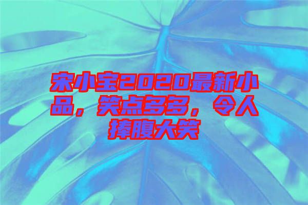 宋小寶2020最新小品，笑點多多，令人捧腹大笑