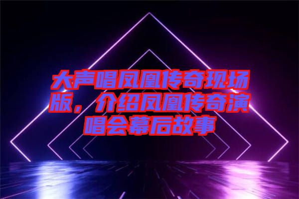 大聲唱鳳凰傳奇現(xiàn)場(chǎng)版，介紹鳳凰傳奇演唱會(huì)幕后故事