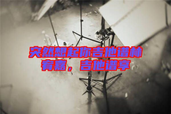 突然想起你吉他譜林宥嘉，吉他譜享
