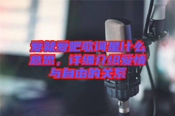 愛就愛吧歌詞是什么意思，詳細(xì)介紹愛情與自由的關(guān)系