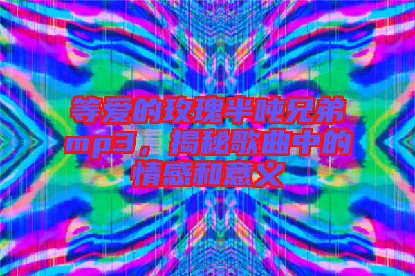 等愛(ài)的玫瑰半噸兄弟mp3，揭秘歌曲中的情感和意義