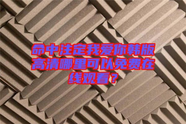 命中注定我愛(ài)你韓版高清哪里可以免費(fèi)在線觀看？