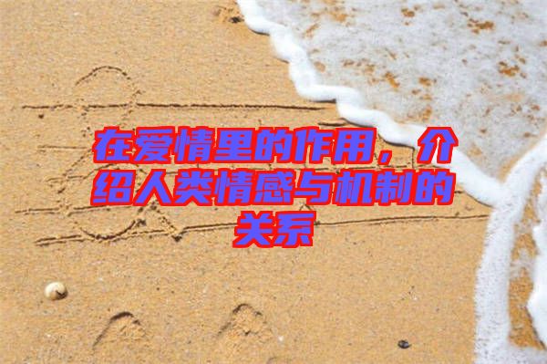 在愛情里的作用，介紹人類情感與機(jī)制的關(guān)系
