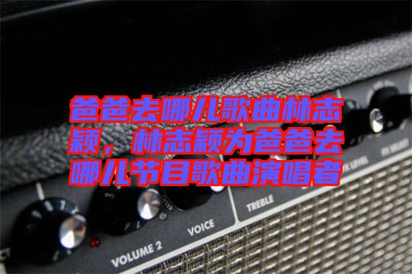 爸爸去哪兒歌曲林志穎，林志穎為爸爸去哪兒節(jié)目歌曲演唱者