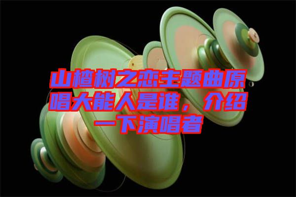 山楂樹之戀主題曲原唱大能人是誰(shuí)，介紹一下演唱者