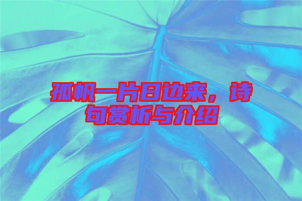 孤帆一片日邊來(lái)，詩(shī)句賞析與介紹