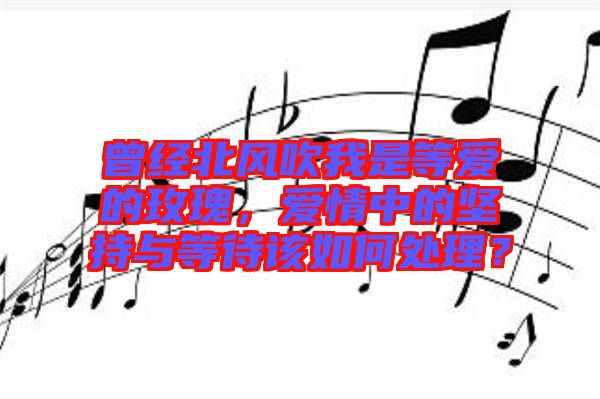 曾經(jīng)北風(fēng)吹我是等愛的玫瑰，愛情中的堅持與等待該如何處理？