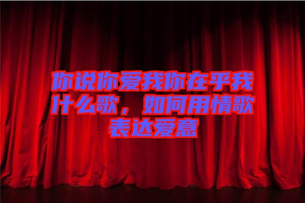 你說(shuō)你愛我你在乎我什么歌，如何用情歌表達(dá)愛意