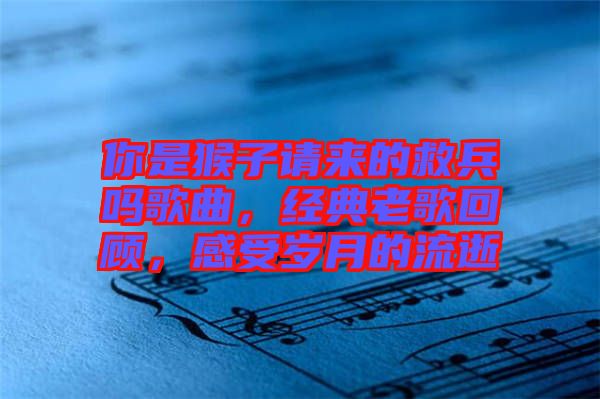 你是猴子請來的救兵嗎歌曲，經典老歌回顧，感受歲月的流逝