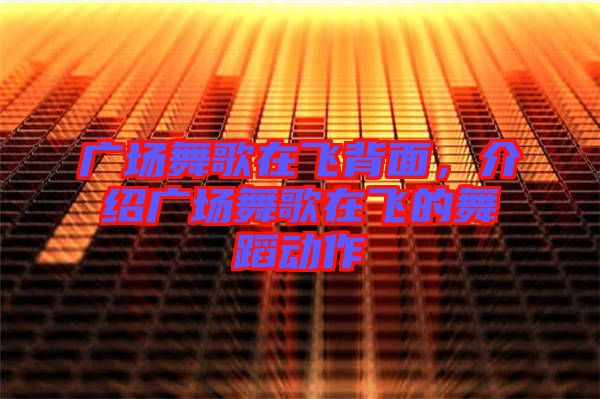 廣場舞歌在飛背面，介紹廣場舞歌在飛的舞蹈動作
