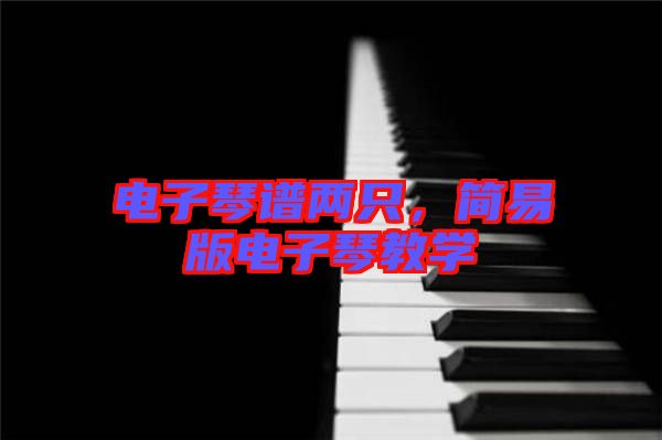 電子琴譜兩只，簡(jiǎn)易版電子琴教學(xué)
