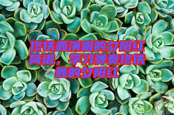 佟鐵鑫演唱的夕陽紅簡譜，學習彈奏佟鐵鑫的夕陽紅