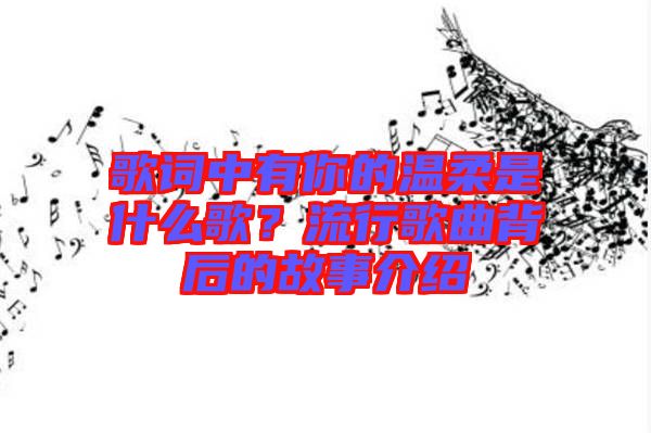 歌詞中有你的溫柔是什么歌？流行歌曲背后的故事介紹