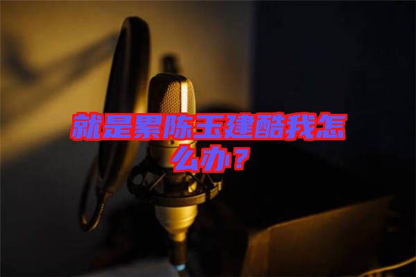 就是累陳玉建酷我怎么辦？
