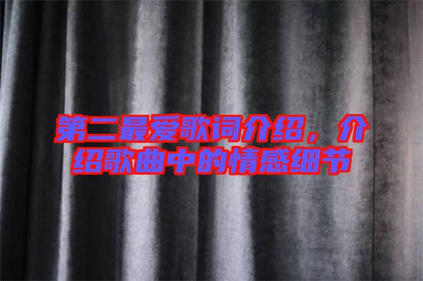 第二最愛(ài)歌詞介紹，介紹歌曲中的情感細(xì)節(jié)