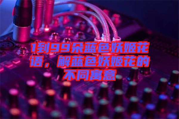 1到99朵藍(lán)色妖姬花語(yǔ)，解藍(lán)色妖姬花的不同寓意