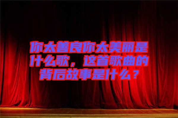 你太善良你太美麗是什么歌，這首歌曲的背后故事是什么？