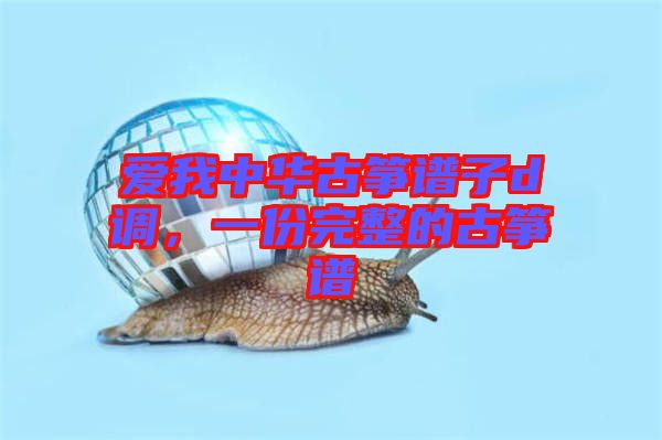 愛我中華古箏譜子d調，一份完整的古箏譜