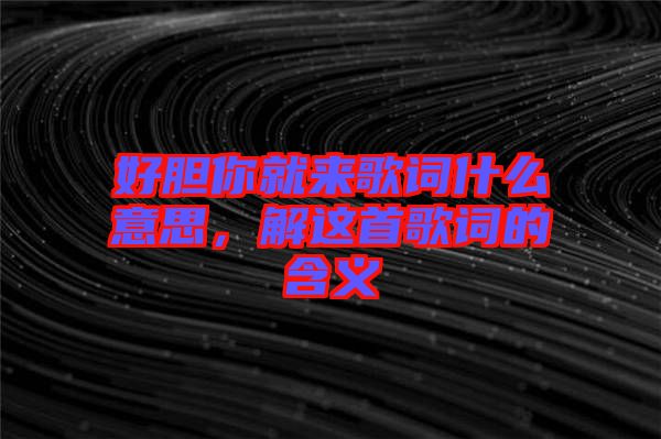 好膽你就來(lái)歌詞什么意思，解這首歌詞的含義
