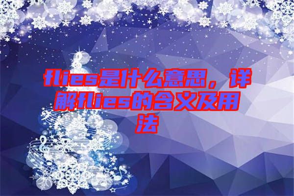 flies是什么意思，詳解flies的含義及用法