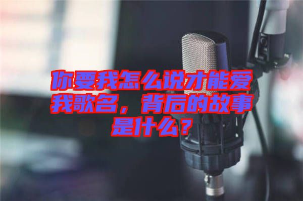 你要我怎么說才能愛我歌名，背后的故事是什么？