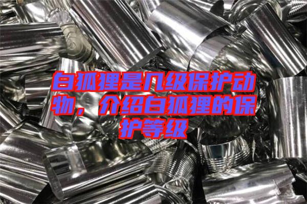 白狐貍是幾級保護動物，介紹白狐貍的保護等級
