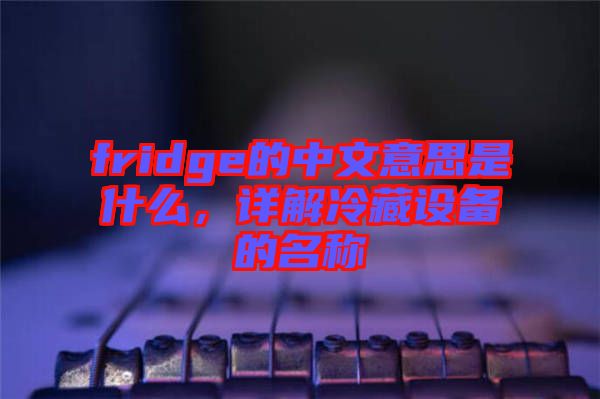 fridge的中文意思是什么，詳解冷藏設(shè)備的名稱(chēng)
