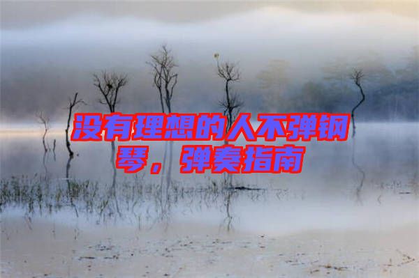 沒(méi)有理想的人不彈鋼琴，彈奏指南