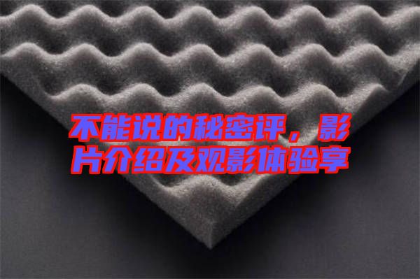 不能說的秘密評，影片介紹及觀影體驗(yàn)享