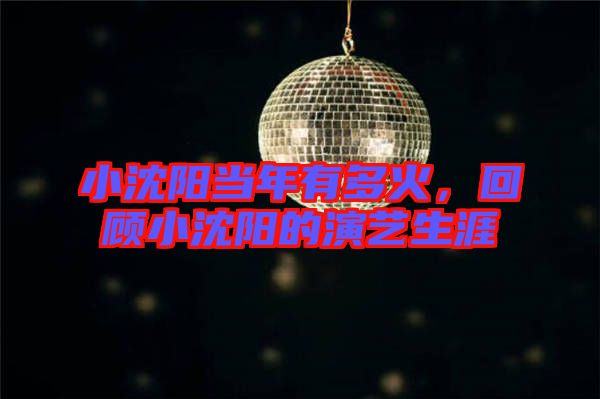 小沈陽(yáng)當(dāng)年有多火，回顧小沈陽(yáng)的演藝生涯