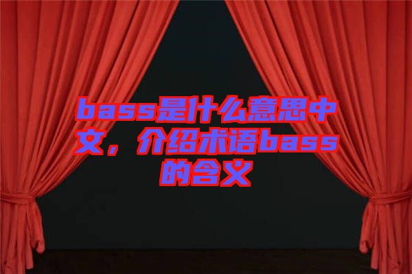 bass是什么意思中文，介紹術(shù)語(yǔ)bass的含義