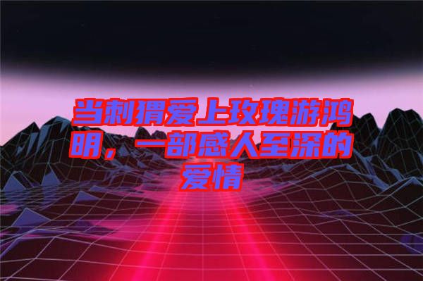 當(dāng)刺猬愛(ài)上玫瑰游鴻明，一部感人至深的愛(ài)情
