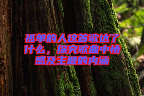 孤單的人這首歌達了什么，探究歌曲中情感及主題的內(nèi)涵
