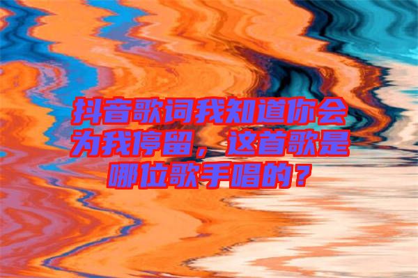 抖音歌詞我知道你會為我停留，這首歌是哪位歌手唱的？