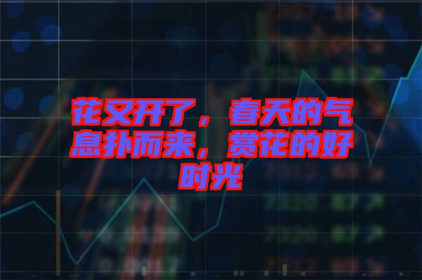 花又開了，春天的氣息撲而來，賞花的好時(shí)光