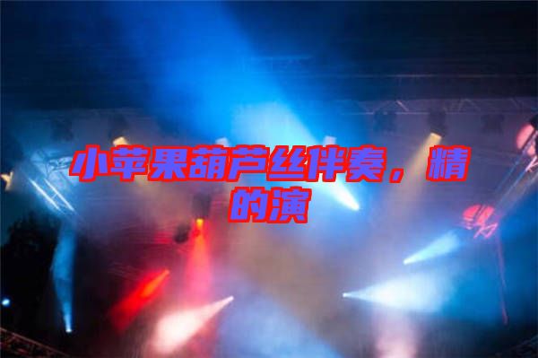 小蘋果葫蘆絲伴奏，精的演