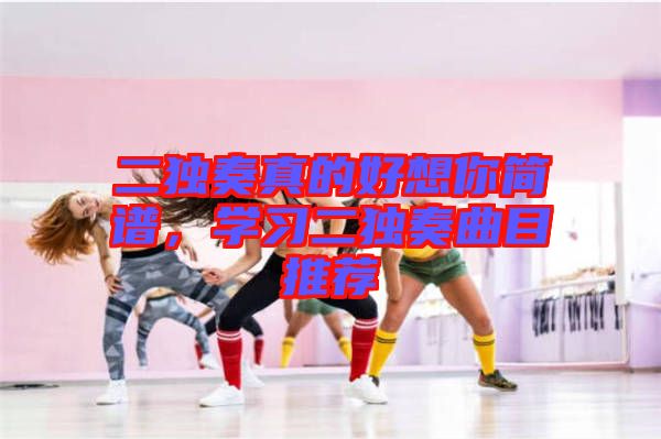 二獨(dú)奏真的好想你簡譜，學(xué)習(xí)二獨(dú)奏曲目推薦