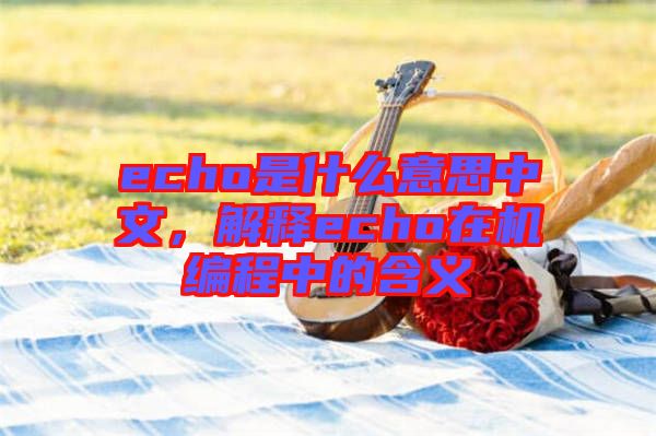 echo是什么意思中文，解釋echo在機編程中的含義